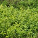 세주농장 이미지