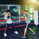 The King Boxing 이미지