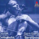 첼로 (B) 이미지