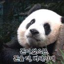 화로구이조선 이미지