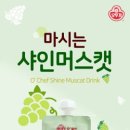 샤인유치원 이미지