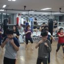 팀지니어스 신흥 이미지