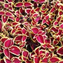 가좌근린공원 이미지