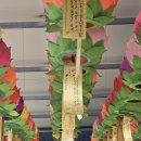 장성병원 | 장성 대원암 천상선녀 건강운 상담 후기｜몸과 마음이 동시에 정리되는 시간