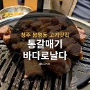 돼지날다 | 청주봉명동고기맛집 통갈매기바다로날다 / 데이트 가볼만한곳