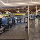 티엘티 바디킹 이미지