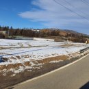 대우목장 이미지