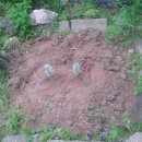 영인원예 이미지