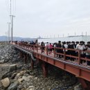 은행나무마을 이미지