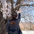 백구소공원 이미지