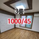 고사평동 네이버블로그