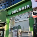 샐러리아 안산본점 | 안산 고잔동 포케 맛집 샐러리아 안산본점 내돈내산후기