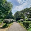 안양6동-1 이미지