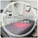 쉘모아 스킨케어