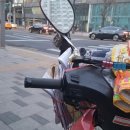 아리네