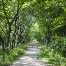 경주산림환경연구원 이미지