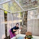 스테이사계 이미지