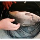 활주로낚시터 이미지