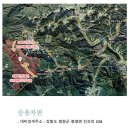 평창 태기산 캠핑장 펜션 이미지