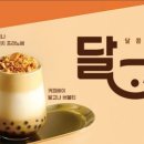 커피베이성북