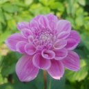 홍성1농장 이미지