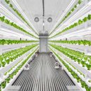 First Farm 이미지