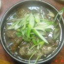 남일농장 Daum카페