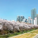 을-130 이미지