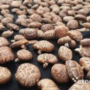 믿음영농조합법인 이미지