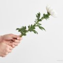 중앙장의사 이미지