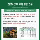 NK소재 티스토리