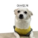 이태원 수제버거 이미지