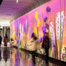 서울서울 이미지