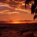 하나 컨설팅 및 행정사 이미지