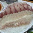 막내횟집 | 서울 남대문 시청역 횟집 막내횟집 본점, 2호점 비교 솔직후기