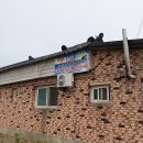 팔팔민박 이미지