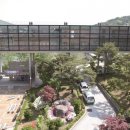 춘해보건대학교 한국대학신문