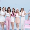 파시 이미지