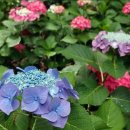 여행영어(야간) 이미지