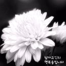 (주)삼가 이미지