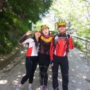 동서대로 이미지