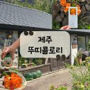 장전초등학교 | [제주] 가족, 커플, 어린이 모두 체험 가능한 제주 컬러헌팅 이색체험 &#34;뚜띠콜로리 뮤제오&#34;후기