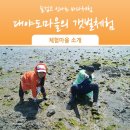 대야도 농어촌체험·휴양마을 이미지