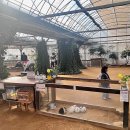 한마음 한뜻 농장 이미지