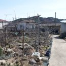 함양(통영) 이미지