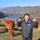 창조한우농장 이미지