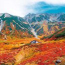 야구루트