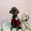 개토피아 이미지