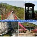 신성여객 | 파주 감악산 출렁다리 2층버스 시간표 탑승위치