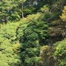 선운산안내소 이미지